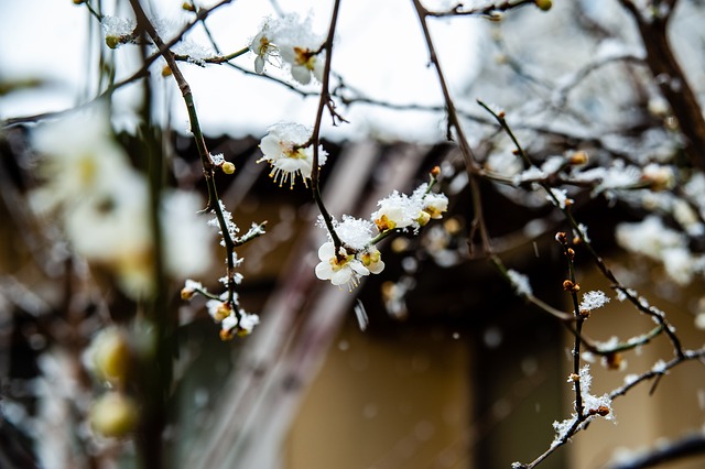 对比赛节奏