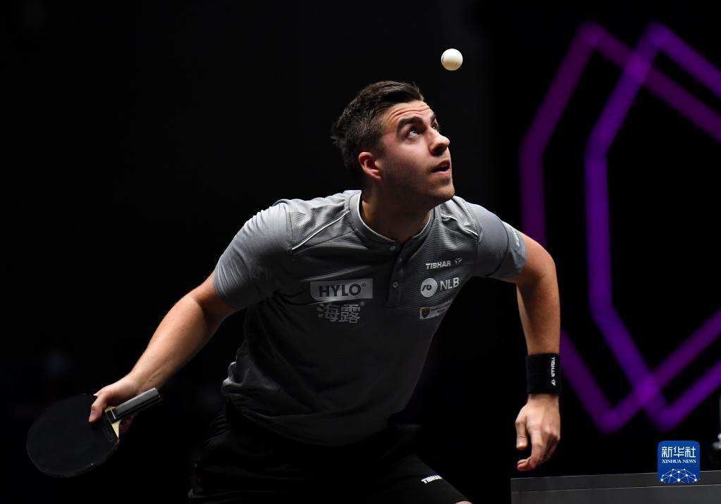 反应和协作 反应和协作